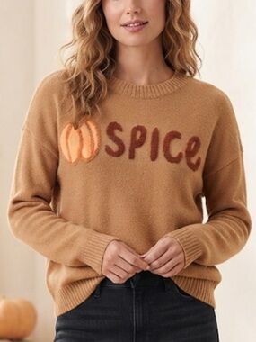 LOFT Pumpkin Spice Graphic Crewneck Sweater Fall Cozy Small